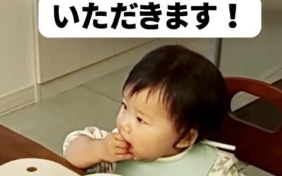 服部水産のしらすは離乳食にもお使いいただけます！