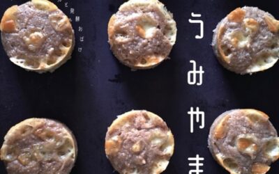 11月8日(土)うみやま市に出店します!