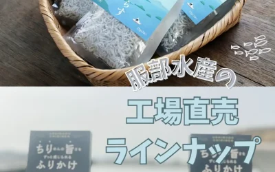 服部水産工場直売ラインナップ